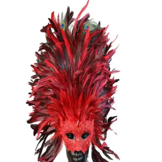 Red Carnival Feather Mask
