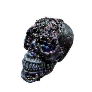 Black Crystal Skull
