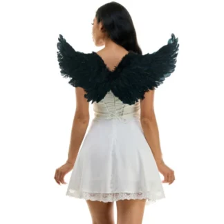 Black Feather Wings