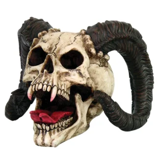 Ram Horned Skull