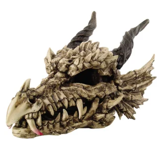 Large Dragon Skull
