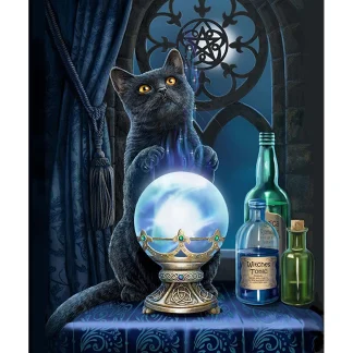 The Witches Apprentice - Signature Sherpa Lined Throw