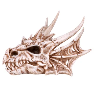 Dragon Skull Head