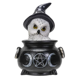 Owl In Cauldron