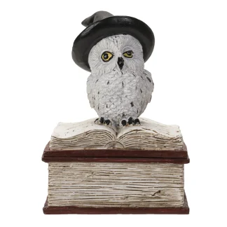 Owl On Spell Book