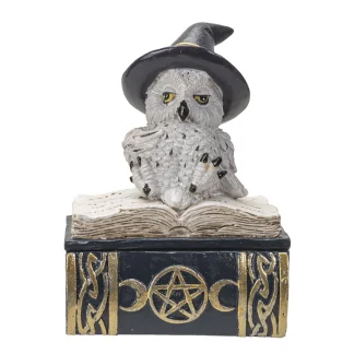 Owl On Spell Book