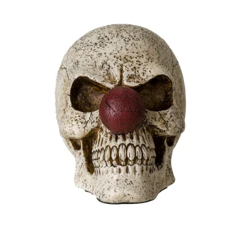 Clown Skull